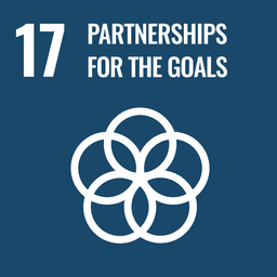 Goal 17: Partnerships the goals